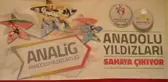 Tekvando: Anadolu Yıldızlar Ligi Müsabakaları
