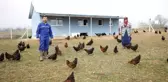 Fabrika İşçisiydi, Kurduğu Çiftlikle Kendi İşinin Patronu Oldu