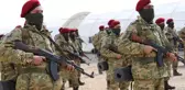 Afrinli Kürt Şahinleri, YPG'ye Karşı Savaşacak