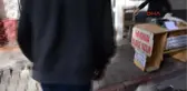 Adana Sokak Köpeğini Jiletle Yaraladılar