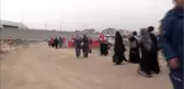 Lütfen, Çığlığımızı Duyun