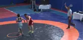 Serbest Güreş Büyük Erkekler Süper Ligi