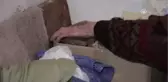 Asırlık Ninenin Okuma Aşkı - Bosna