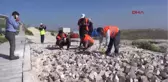 Şanlıurfa Göbeklitepe Derneği Başkanı Dişli Tarihi Alana Beton Dökülmüş Olsaydı Kıyameti Koparırdık...