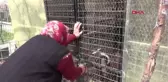 Burdur-Köpek Sevgisiyle Sosyal Medya Fenomeni Oldu