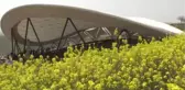 Dünyanın En Eski Tapınağı Göbeklitepe'de 
