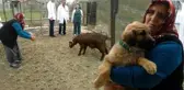 Sosyal Medyada Fenomen Olmuştu! Hatice Teyze'nin Küçük Köpeği ve Keçisi Sağlık Taramasından Geçti