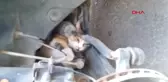 Adana-Otomobilin Motoruna Sıkışan Kediyi İtfaiye Ekibi Kurtardı