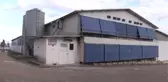 Yumurta, Anne Sütünden Sonra En Önemli Protein