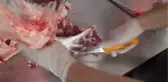 Kosova'da Halka 12 Yıllık Donmuş Etler Satıldı