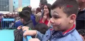 Van Kedileri Güzellik Yarışması İçin Podyuma Çıktı-Hd