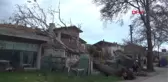 Çanakkale'de Fırtına 100 Yıllık Çınar Ağacını Devirdi