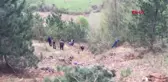 Karabük'te Cezaevi Nakil Aracı Uçuruma Yuvarlandı 2 Asker Şehit, Sürücü Yaşamını Yitirdi