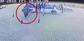 Servis Şoförü Civcivlerini Yiyen Köpeği Durakta Görünce Tekmelemişti! Kamuoyundan Özür Diledi