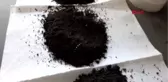 Balıkesir Çam Kese Böceğine Karşı Biyolojik Mücadele
