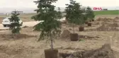 Van Yyü Kampüsü'nde 10 Bin Fidan Dikildi