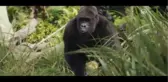 Rampage: Büyük Yıkım