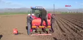 Afyonkarahisar Sandıklı'da Patates Ekim Alanları Azalıyor-hd