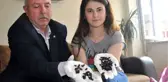 Çiftçi Canından Bezdi! Paraşütle Binlerce Böcek Tarlaya Atılmış