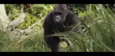 Sinema - Rampage: Büyük Yıkım