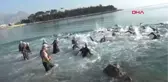 Carraro Kemer Triathlonu Tamamlandı