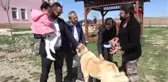 Sivas Abbas Güçlü'nün Kangal Sevgisi-Hd