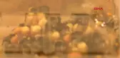 Antalya'dan Dünyaya Arı İhracatı-Hd