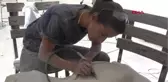 Balıkesir Kazdağları'nda Sanat Çalıştayı-Hd