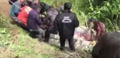 Yamaçtan Yuvarlanan İneği İtfaiye Kurtardı