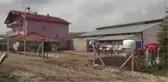 Şehir Hayatını Bırakıp Köyünde Hayvancılık Yapıyor