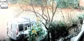 Olgunlaşmamış Erik Detayı Cinsel İstismar İftirasını Çürüttü
