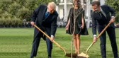 Trump ile Macron Beyaz Saray'ın Bahçesine Ağaç Dikti