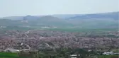 Esenboğa Havalimanı Çalışanları, Fidan Dikti
