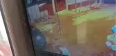 Aydın-Kayıptı, Cesedi Bulundu