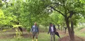 Tarım Alanlarını Dolu Vurdu