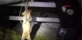 Adana'da Uyuşturucuya Taviz Yokek