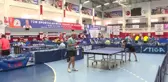 Masa Tenisi: Erkekler ve Kadınlar 1. Lig