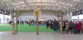 3. Etnospor Kültür Festivali - Mangala Yarışmaları - İstanbul
