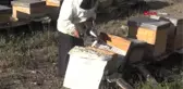 Artvin-Kadın Arıcıdan, Ev Hanımlarına 'Bu İşe Girin' Çağrısı-Hd