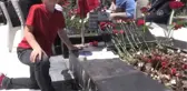 Evin İçi Boş Anne, Çünkü Babam Yok