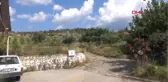 Manisa-Ruh Sağlığı Hastaları Şifayı Doğada Buluyor