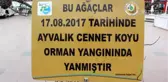 Şeytan Sofrası'nda Yanan Ağaçları İlçe Meydanında Sergilediler