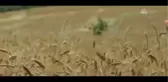 Sinema - Kiraz Mevsimi