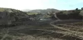 Sarayköy'de Ekin Yangını