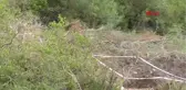 Antalya Danıştay, Phaselis'e Otel Projesini İptal Etti