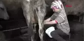 Muş Liseli Güneş, Ailesi ve Kimsesizlerin Yardımcısı Hd 1