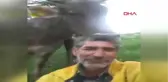 Artvin İneği Saçlarını Yaladı, O Anları Sosyal Medyada Paylaştı