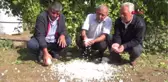 Manisa Sarıgöl'de Bağları Dolu Vurdu Hd