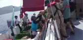 Muğla Caretta Carettaları Uluslararası Sularda Uydudan Takip Edecekler Hd