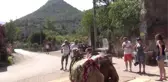 Deve Sırtında 